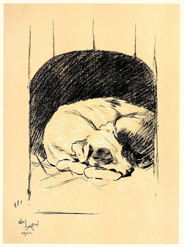 dog
