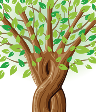 Elementary Program Review Tree